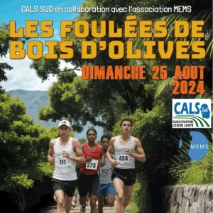 Les Foulées de Bois d'Olives