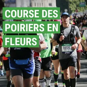 Course des Poiriers en Fleurs
