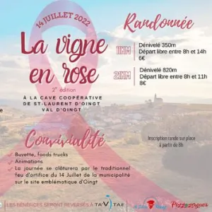 Trail de la Vigne en Rose
