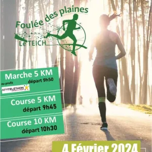 Foulées des Plaines