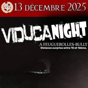 Viducanight