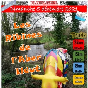 Les Ribines de l’Aber Ildut