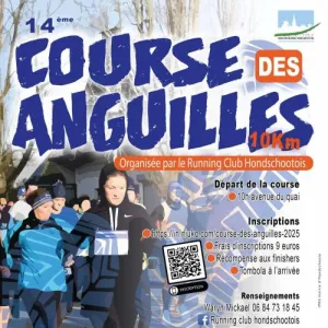 Course des Anguilles