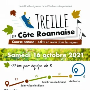 Treille en Côte Roannaise