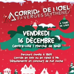 Corrida de Noël de Faverges-Synthenex