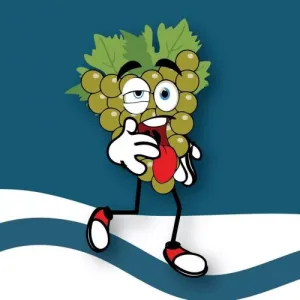 Semi-Marathon de l'Armagnac