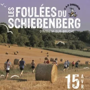 Les Foulées du Schiebenberg