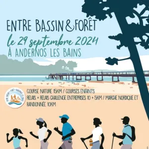 Entre Bassin et Foret