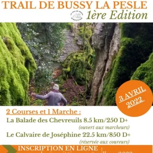 Trail de Bussy la Pesle