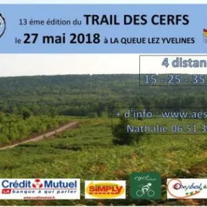 Trail des Cerfs