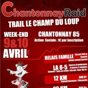 Trail Le Champ du Loup