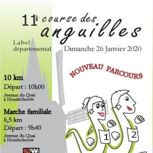 Course des Anguilles