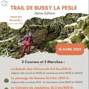 Trail de Bussy la Pesle