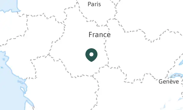 Mehun-sur-Yèvre (18)