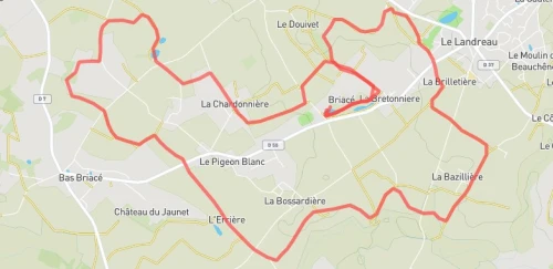 Course nature découverte