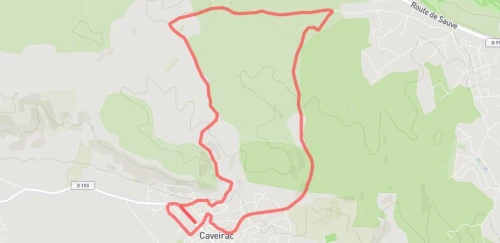 Les foulées du château 12km