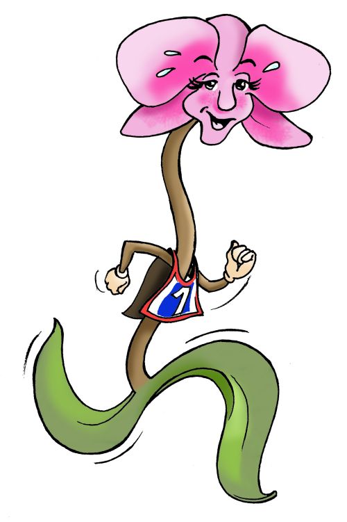 Trail des Orchidées