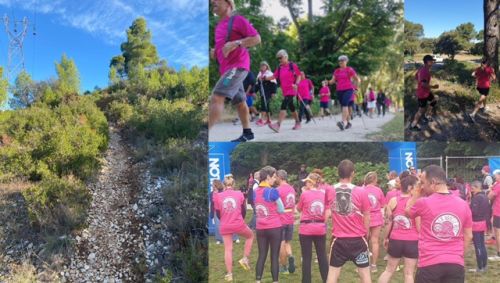 La Boucle Rose Cavaillon