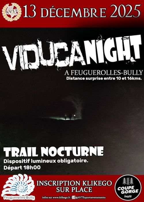 Viducanight